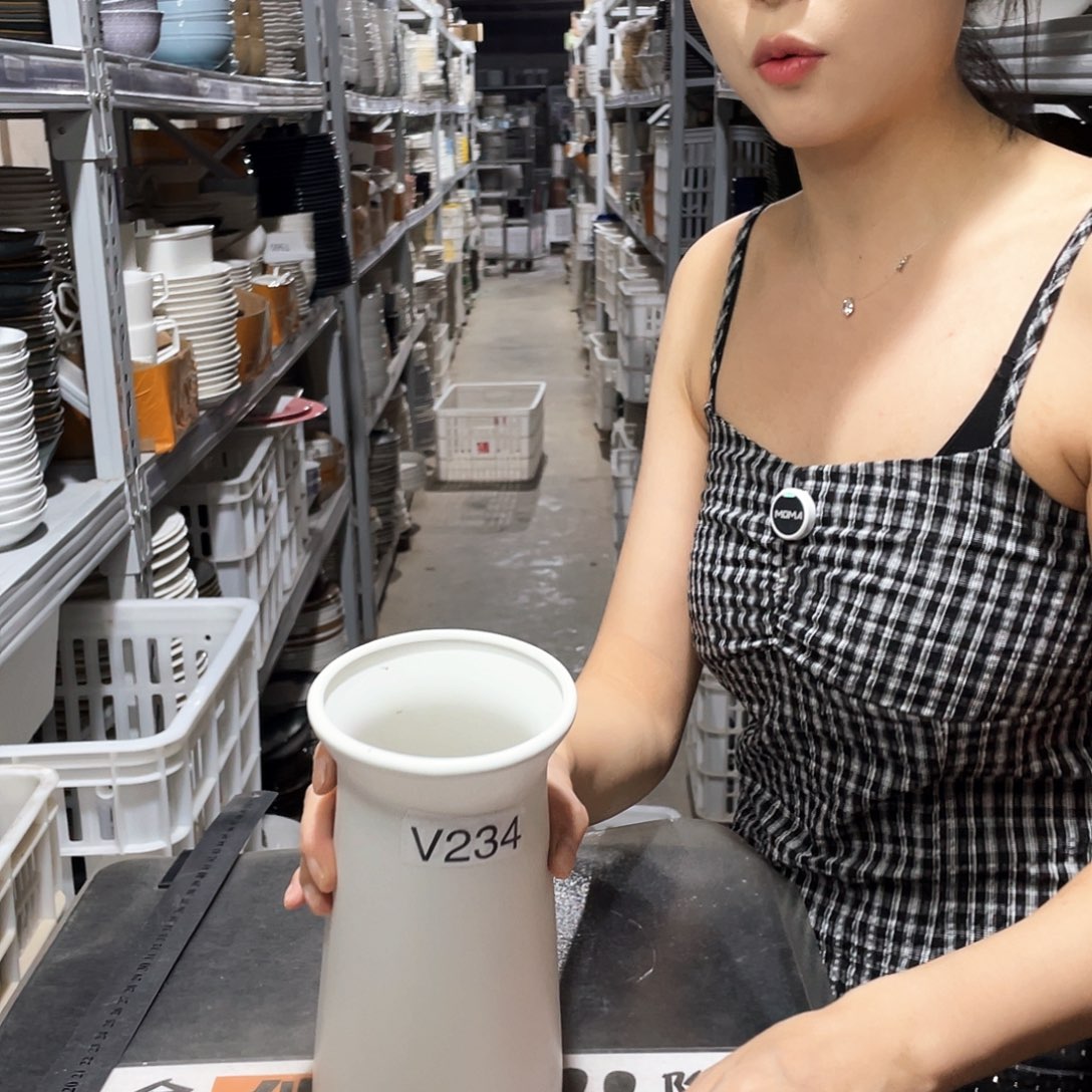 瓷片234              1个