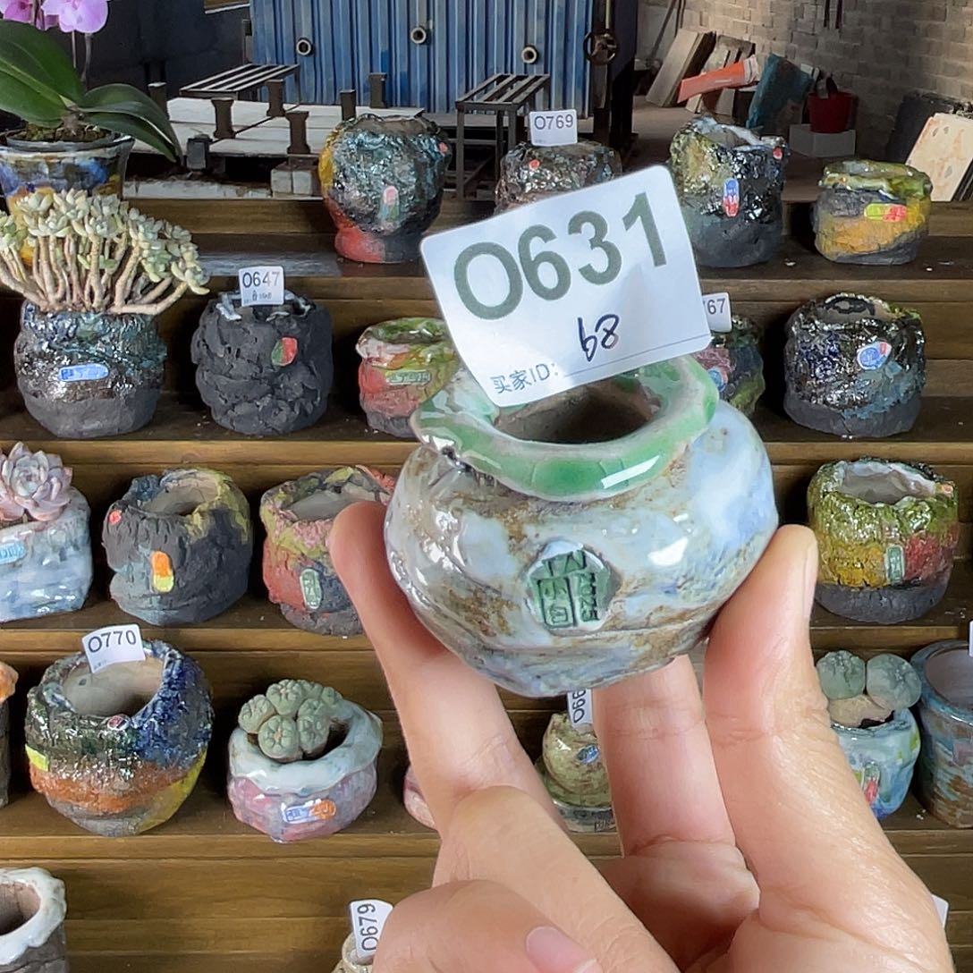 喵***啊哈哈哈哈哈哈哈哈哈 坛子姐