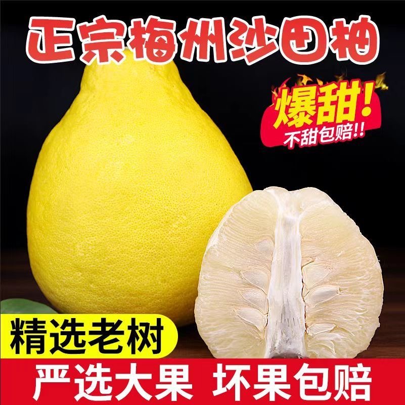 【20斤】梅州沙田柚纯甜无酸新鲜当季孕妇水果梅县金柚白心柚子包邮