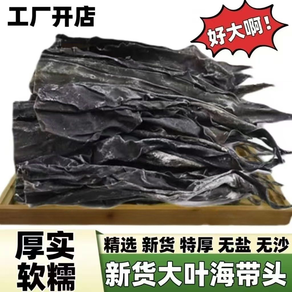 纯蓝优选品质海带头段去尾干货厚实无沙大叶干海带头长款海带头