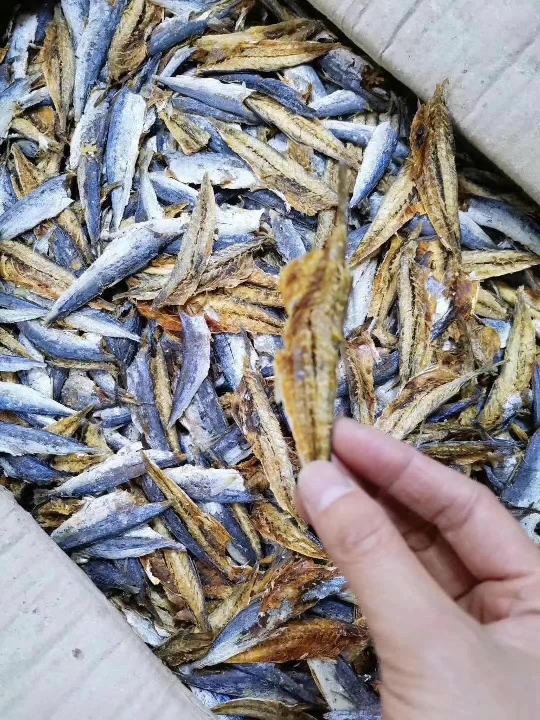 福建特产去头去尾巴浪鱼干