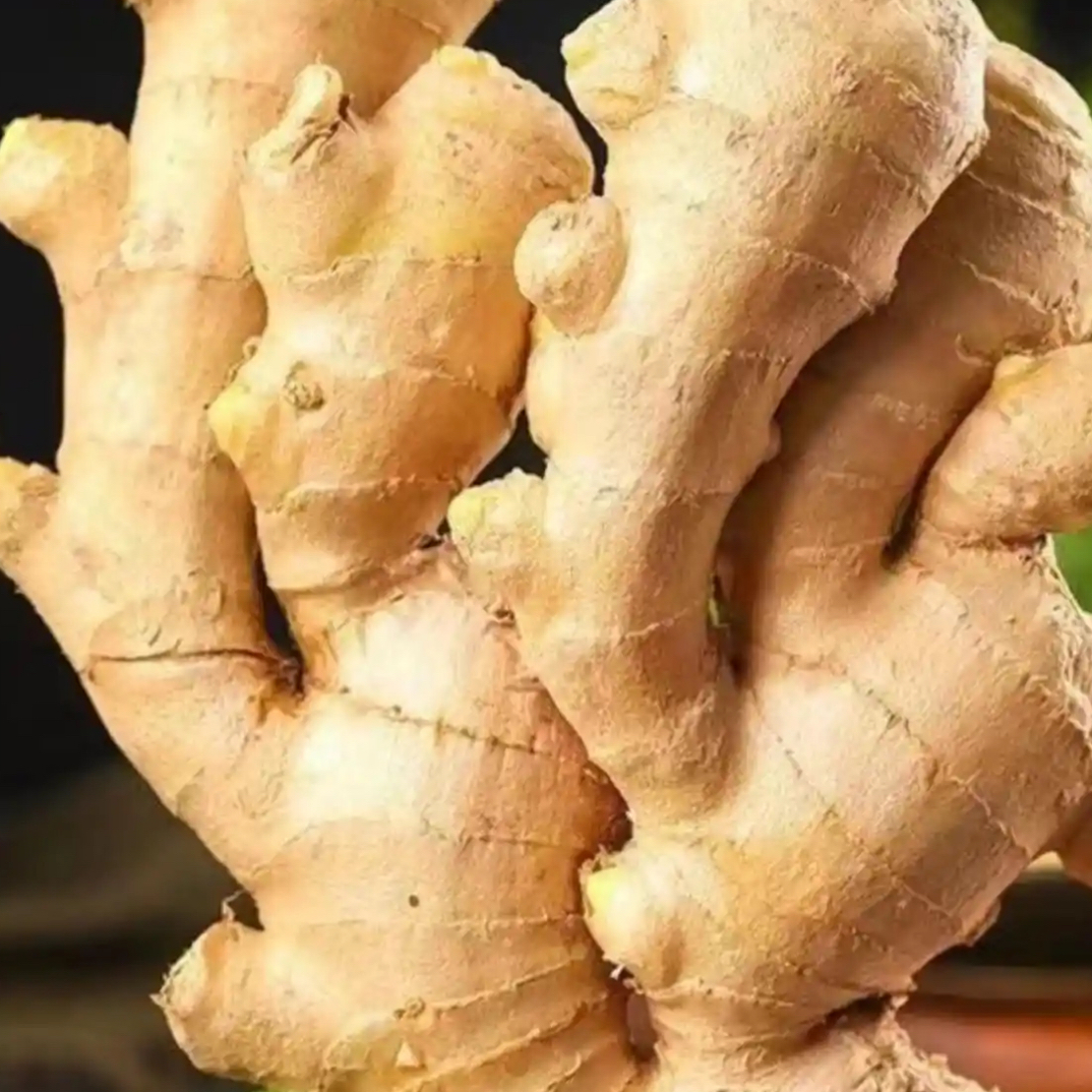 生姜约150克一份调汁伴侣