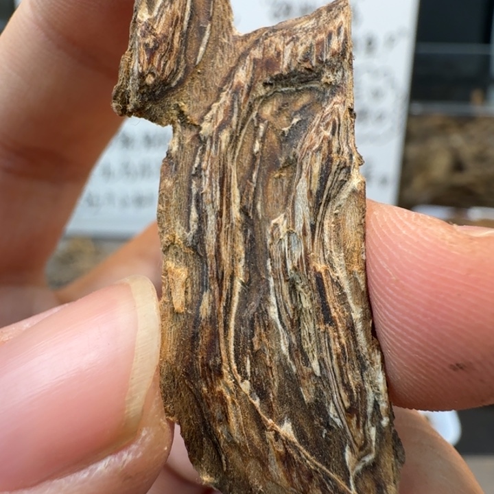 海南虎斑棋0.8克。  