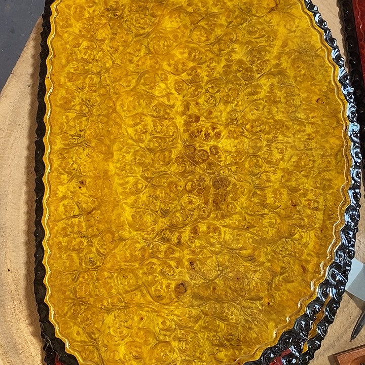 黄金樟特价22222222222222222