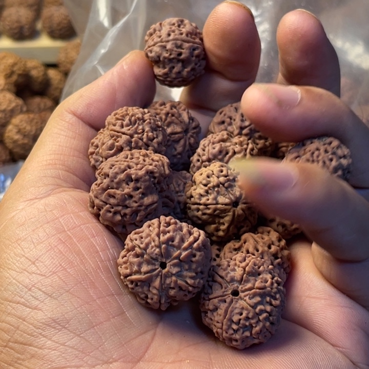 我***的金刚菩提手串散籽