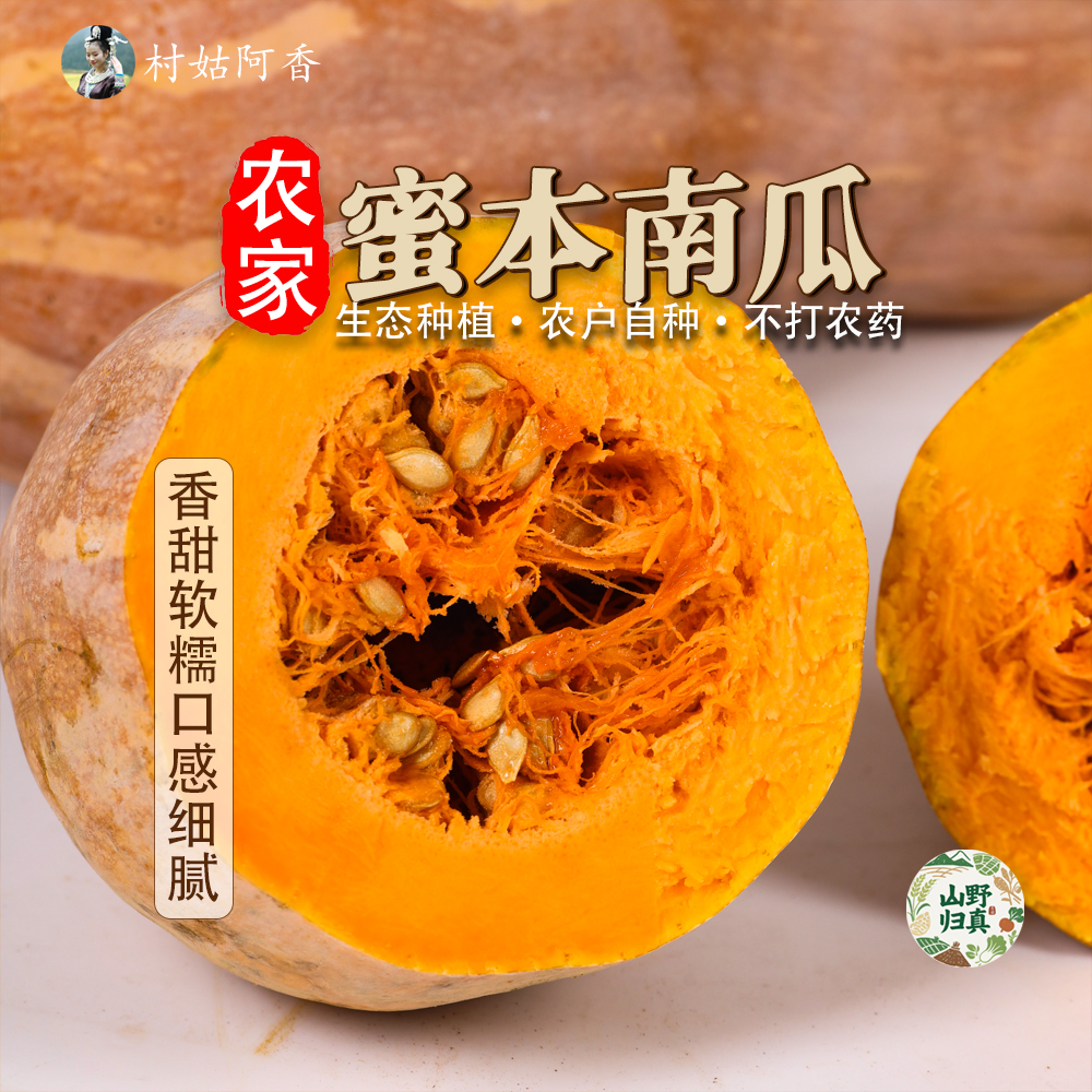 贵州高山生态种植无农残自然生长南瓜