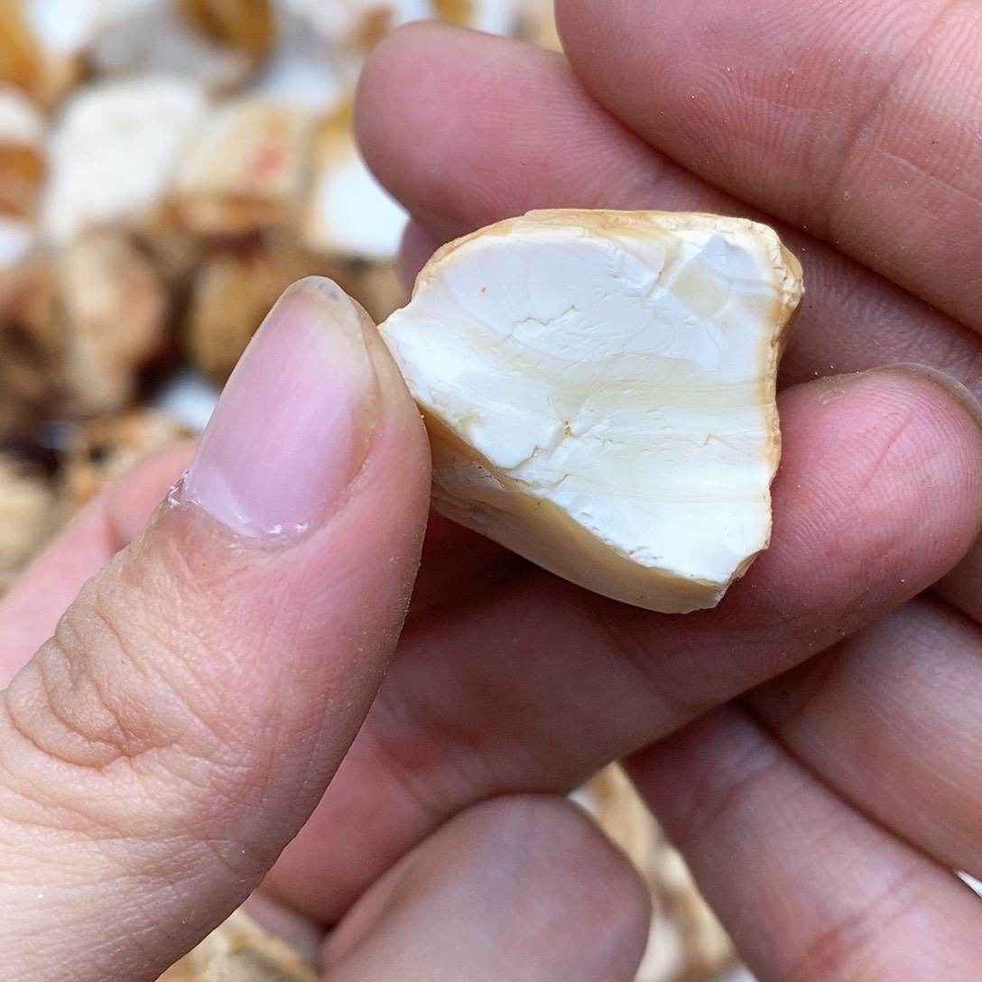 定制蜜蜡未镶嵌原石