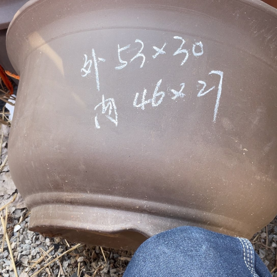 紫砂53*30金钟大碗一只