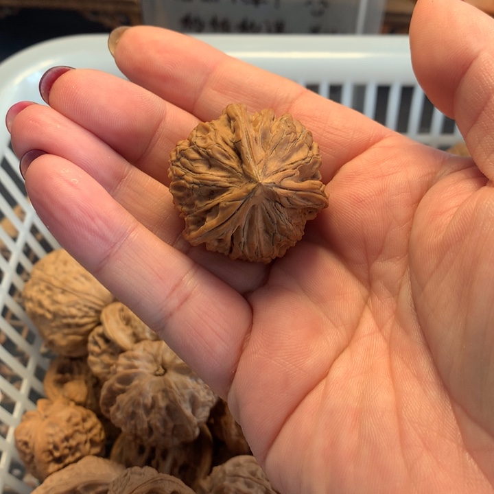 明***道文玩核桃把件核桃