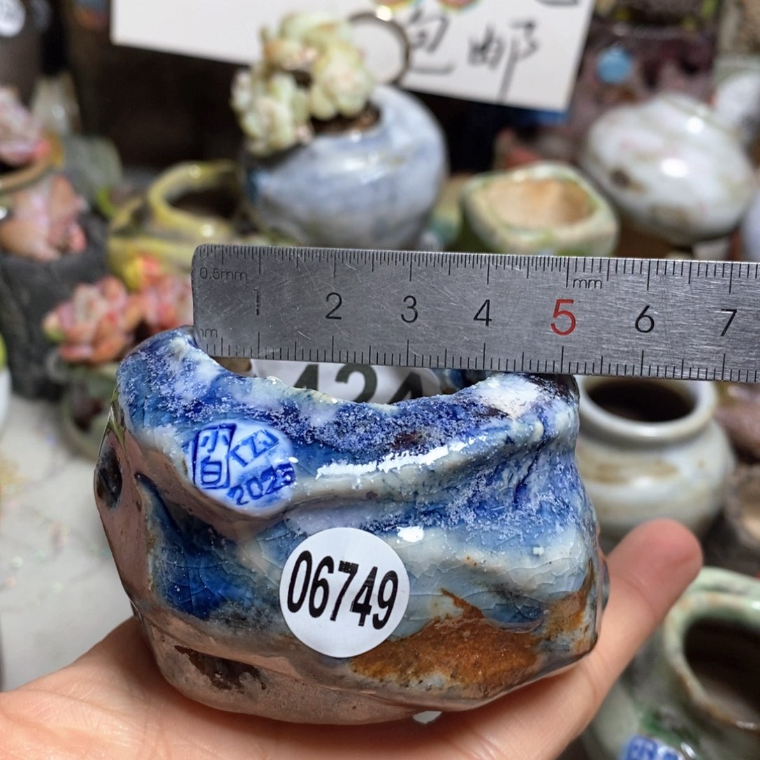 花盆拍3送一个小礼物