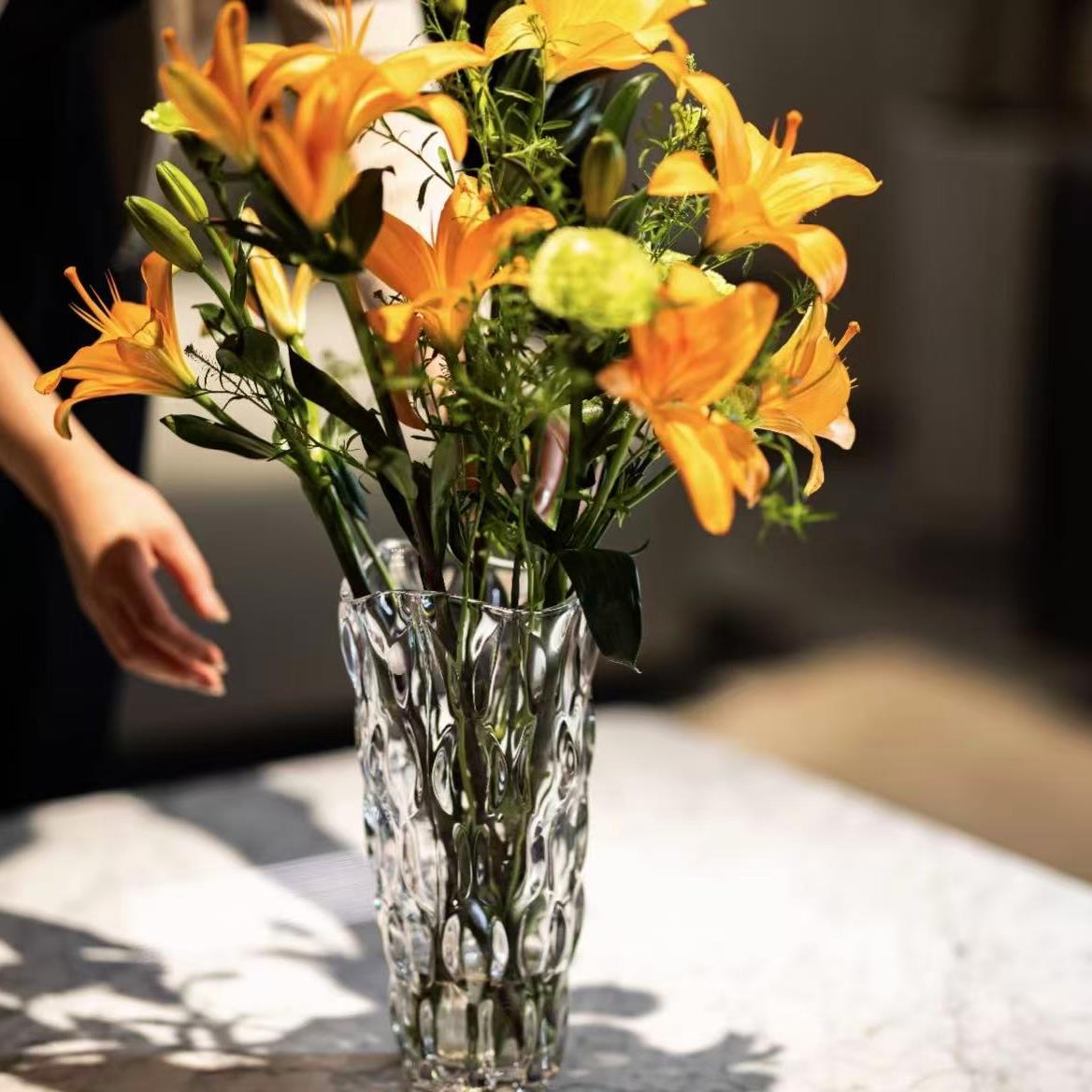 简约轻奢高颜值波西米亚一级轻奢高级感专用透明玻璃花瓶鲜切花瓶