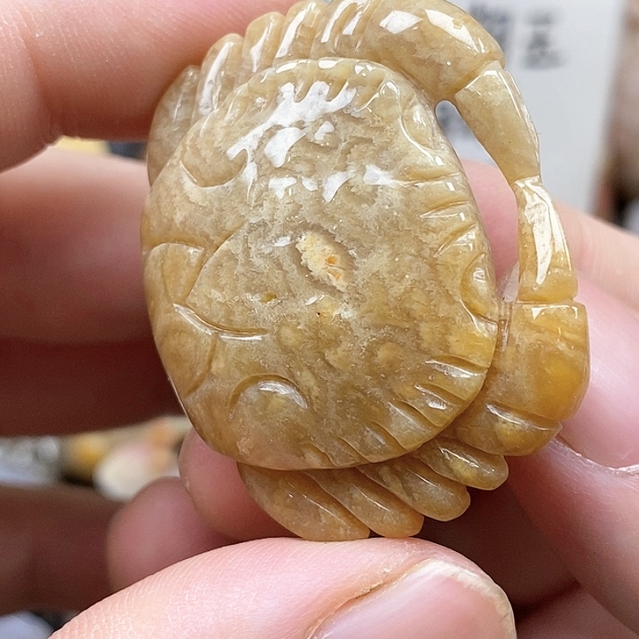 颈饰未镶嵌硅化珊瑚（珊瑚玉）