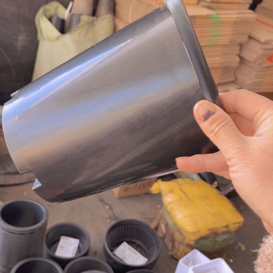 塑料20公分黑兰花盆 5个 