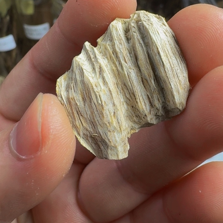 沉香沉香枕广西虎斑棋1.16克