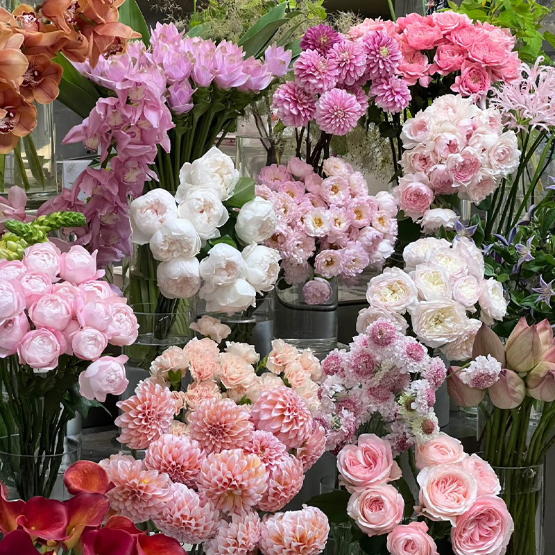 【洛神玫瑰+香水百合+香槟玫瑰+洋桔梗+配草】 云南基地直发鲜花