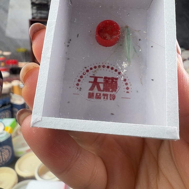 蟋蟀优秀……蓝竹蛉一只～…………