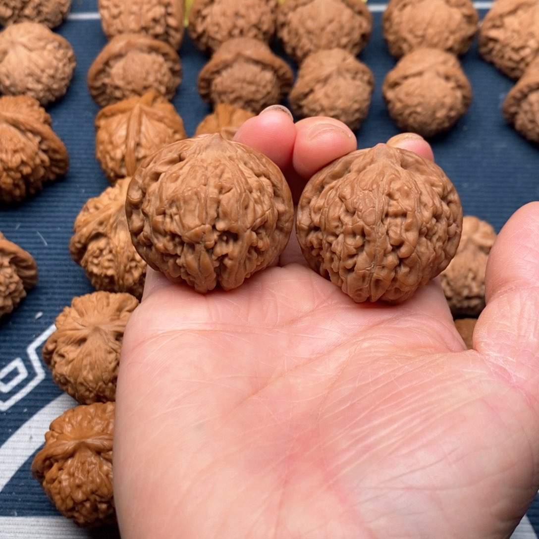 橄榄核手串/手链黑金刚38