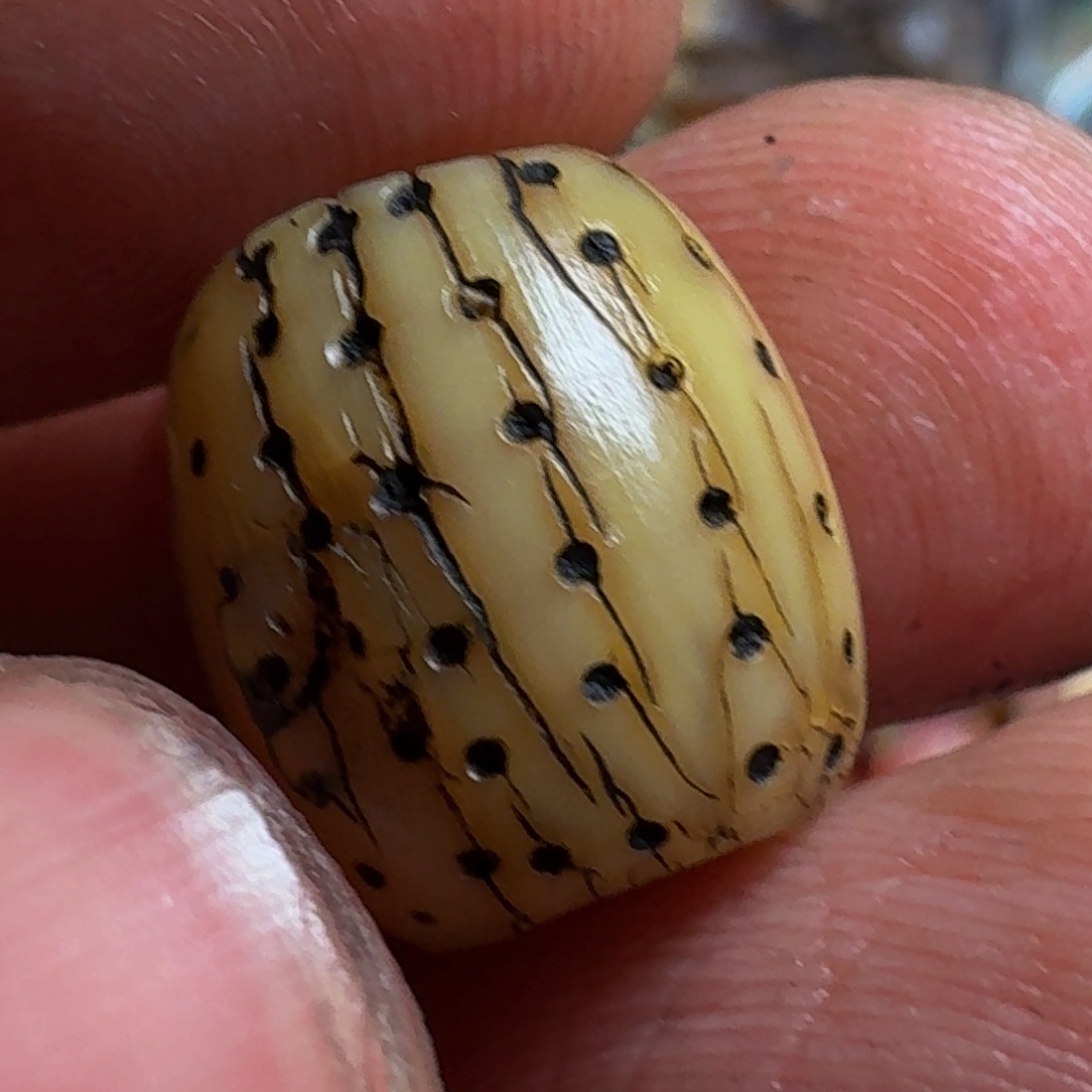 泥塑啊啊啊啊啊啊啊啊啊