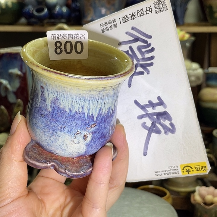 狼盆内口径6高度7