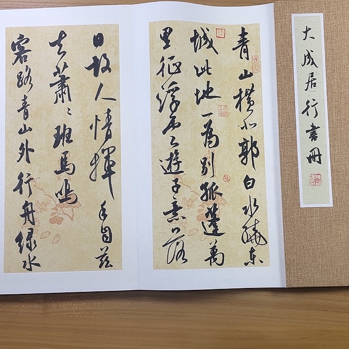 书法中书协会员作品