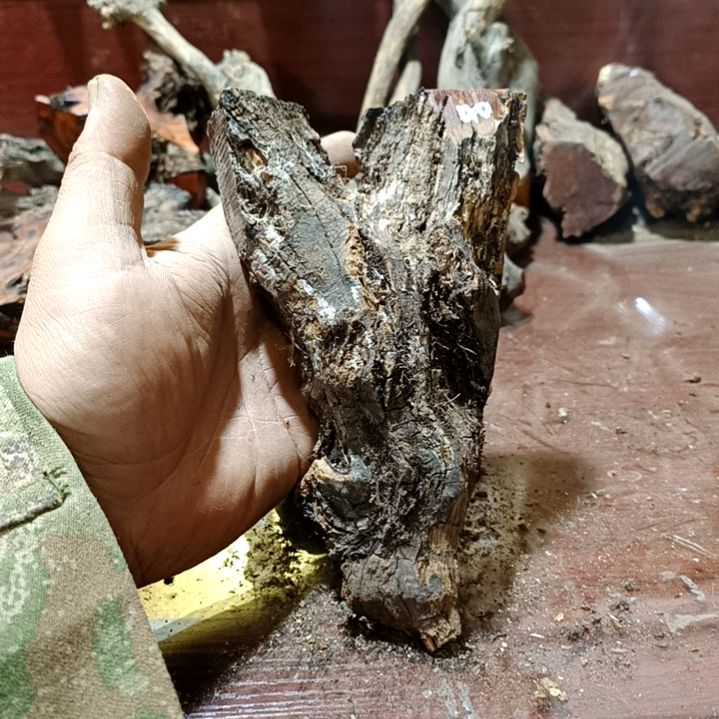 一***门香榧木火琉璃疙瘩毛料毛料毛料