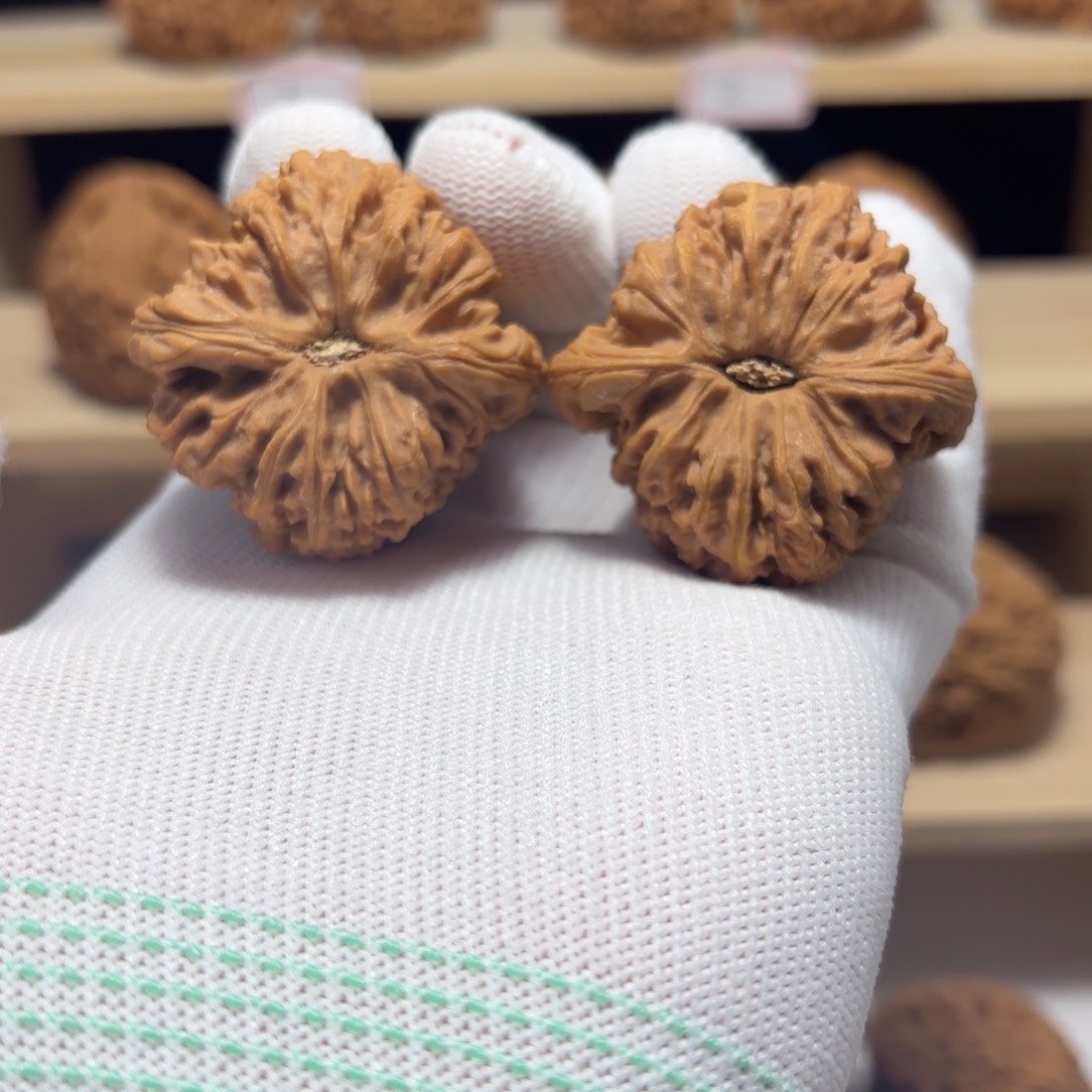 文玩核桃把件宁***啊涿鹿南将有黄39