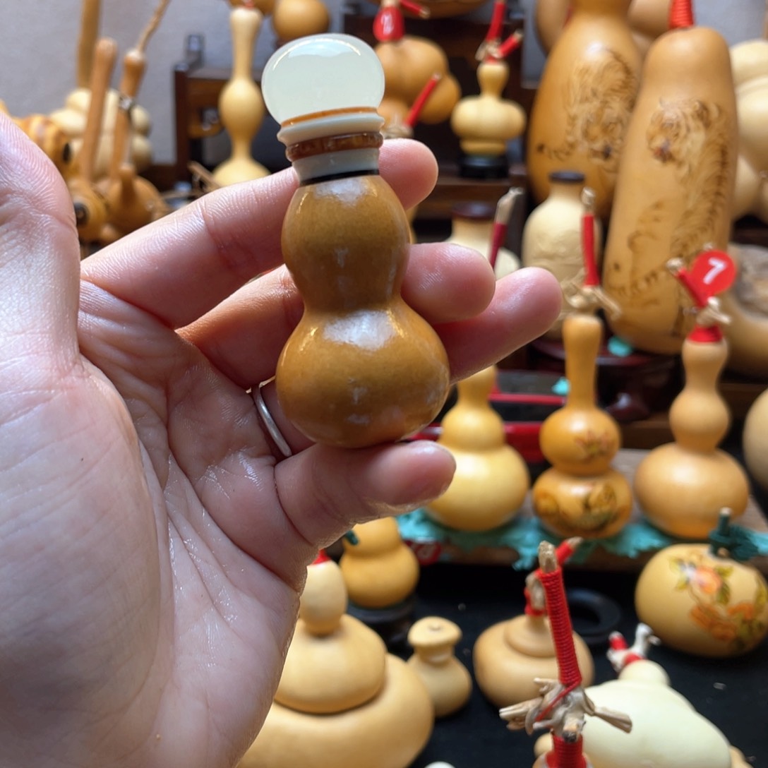 卫*大自然的秘密第十一节你是