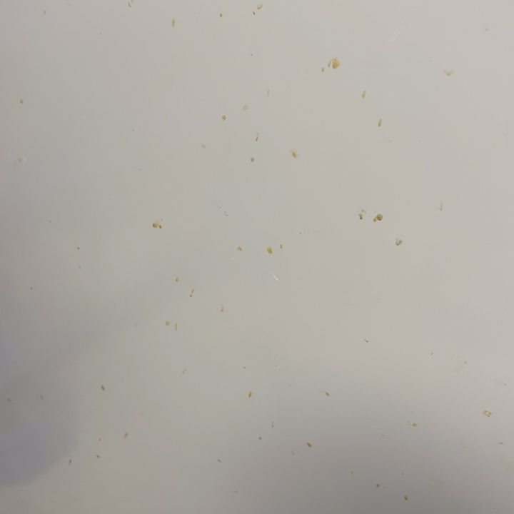 元***祯紫砂茶宠紫砂茶宠