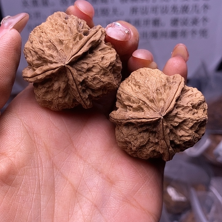 核桃云南野生铁核桃219号38mm