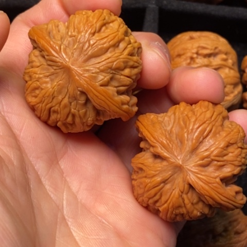 文玩核桃把件秦岭山脉北缘