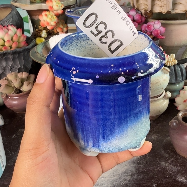 重庆小燕子欢迎大家350