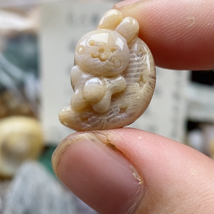 硅化珊瑚（珊瑚玉）未镶嵌颈饰小吊坠