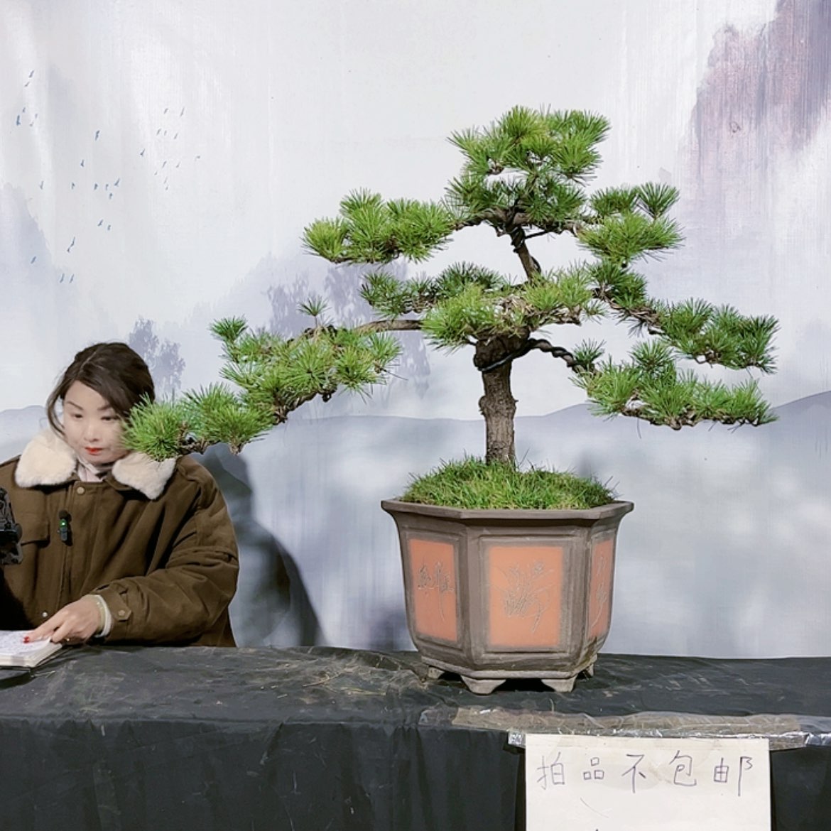 【闪购商品】运费到付