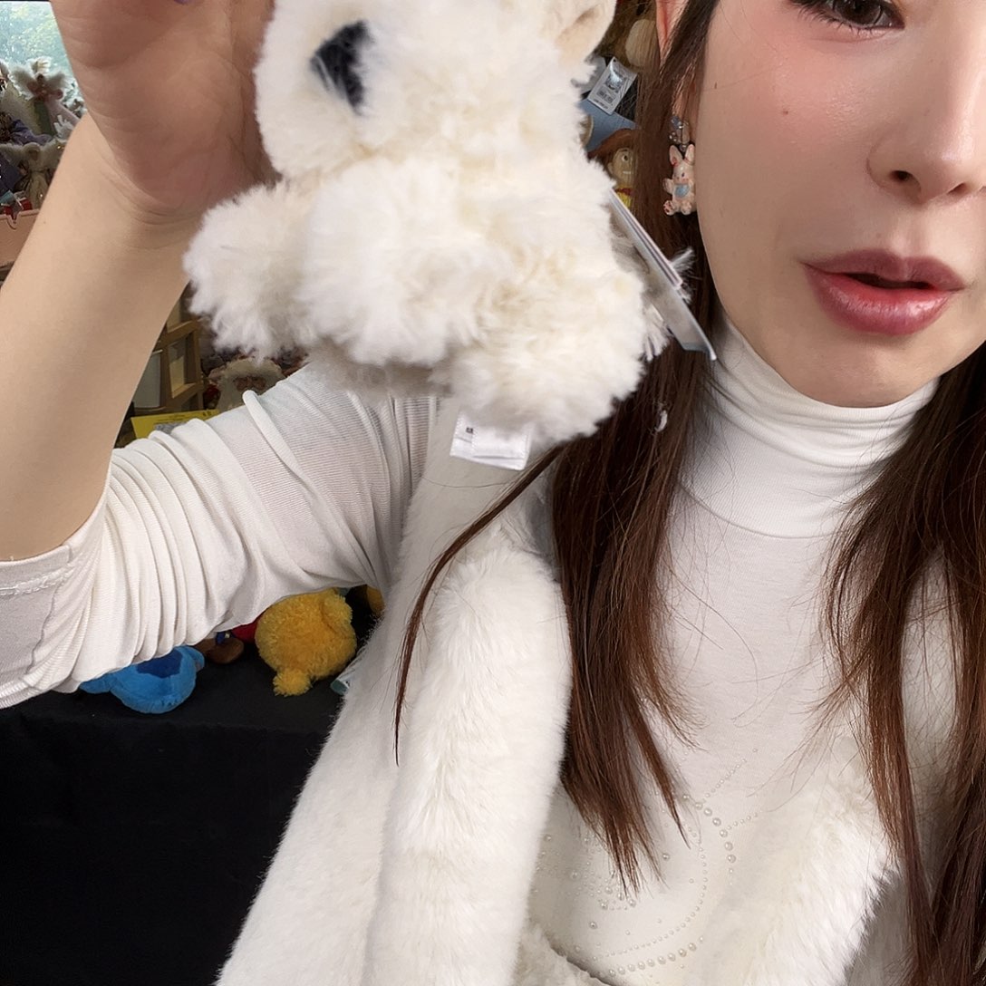毛绒800号肥美西高地