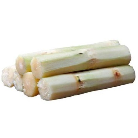 桂林精品甘蔗肉 一根