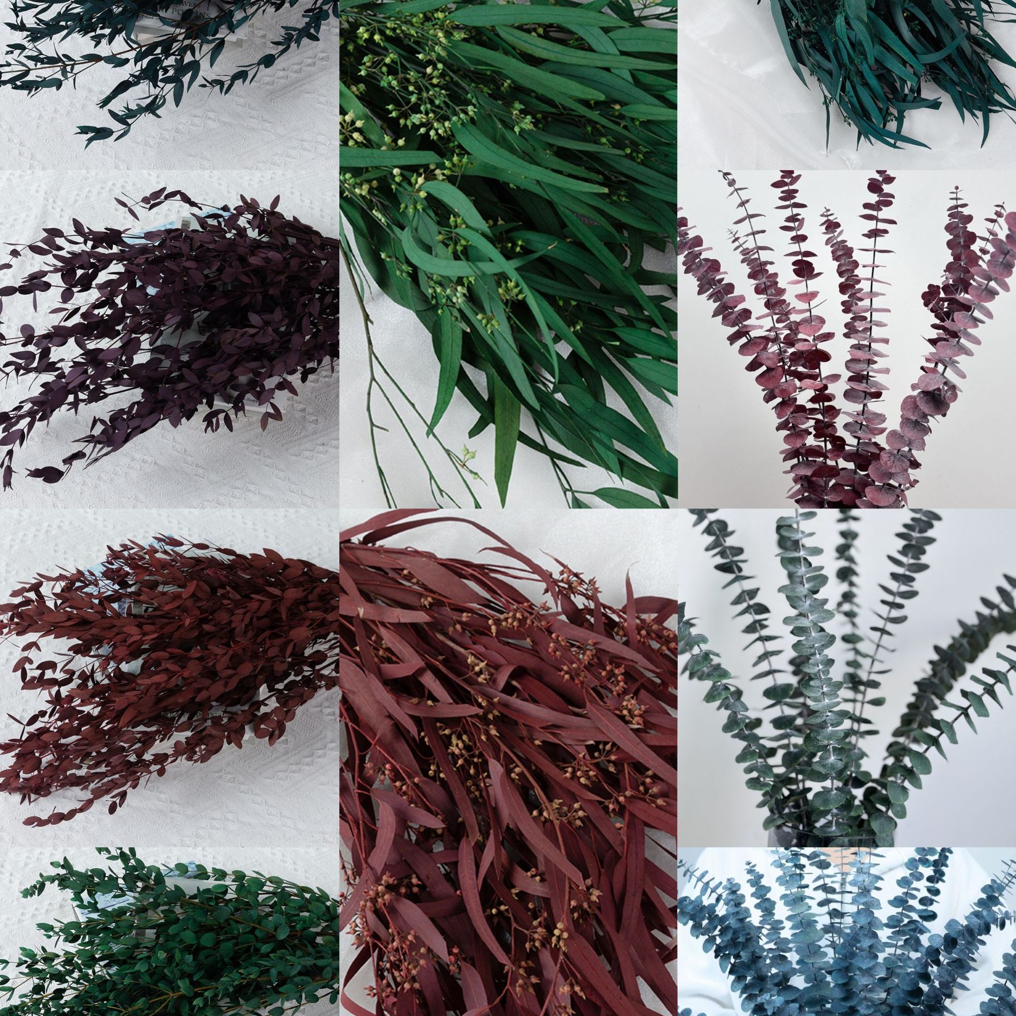 [永生尤加利叶、小米果叶]细叶尤加利铜钱按小米果叶家居装饰花束