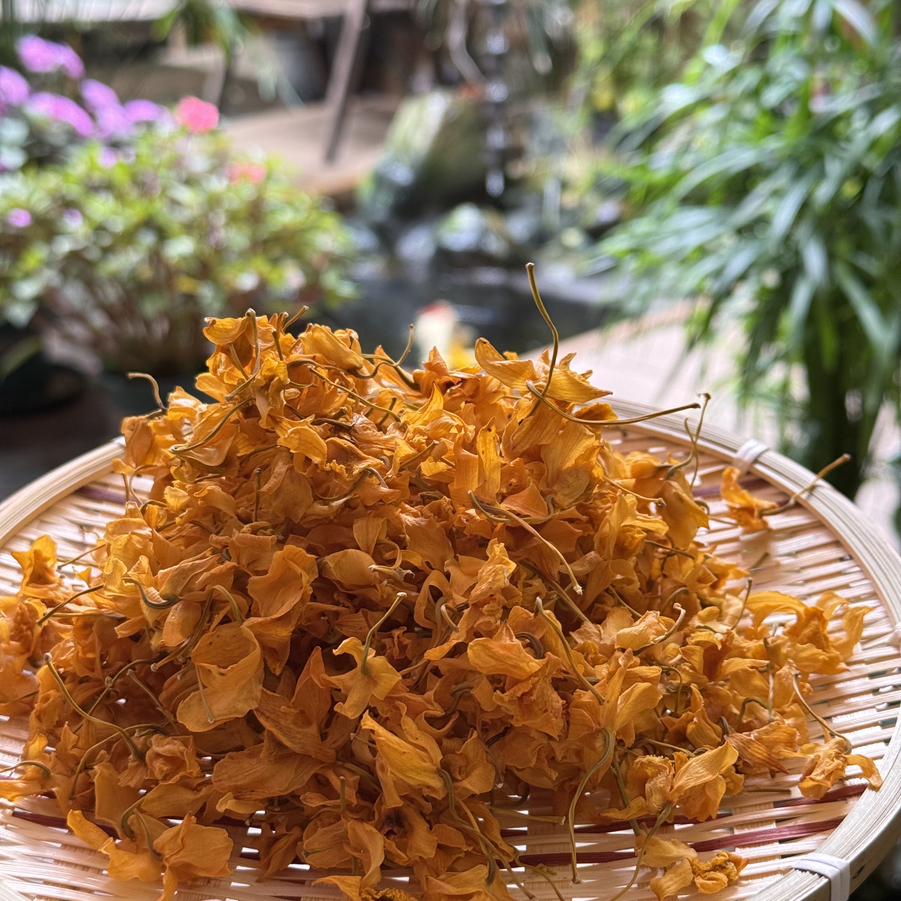 枫谷甄选 -云南鼓槌/铁铁石斛花   高端滋补山货可泡水可煲汤