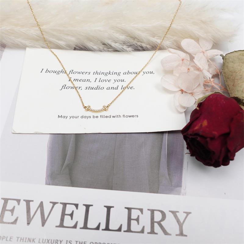 95新 Tiffany & Co./蒂芙尼 项链/T_ZY0000264982