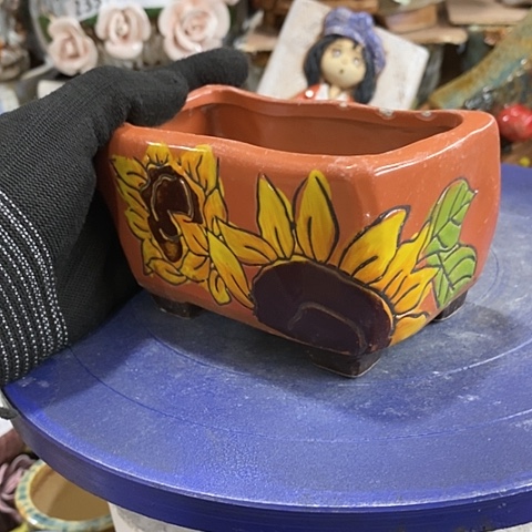 【闪购商品】红陶1