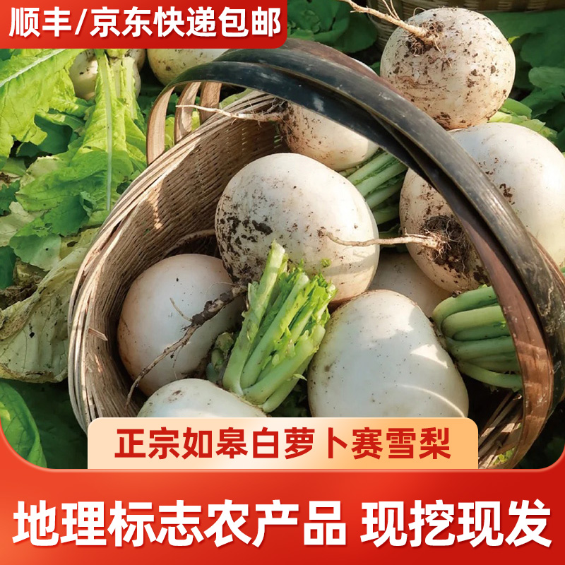 [善食源]如皋本地白萝卜 4.5斤 露天种植 清脆 现采现发 时令蔬菜
