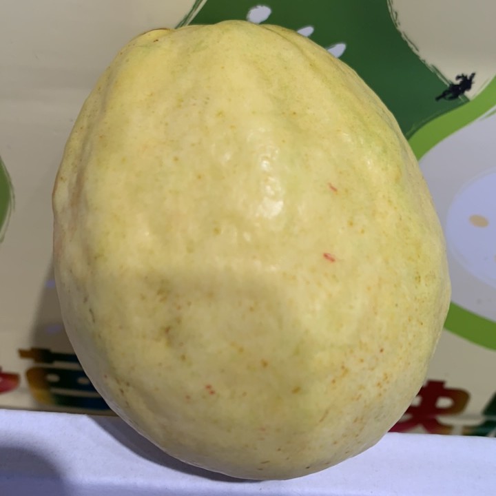 树熟奶油芭乐一个