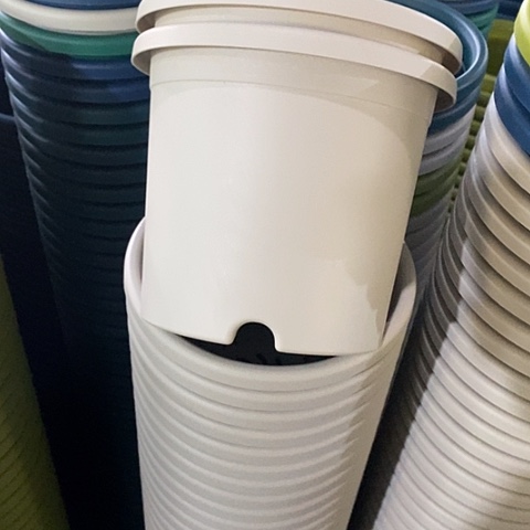 树脂四季2号6个带托灰白