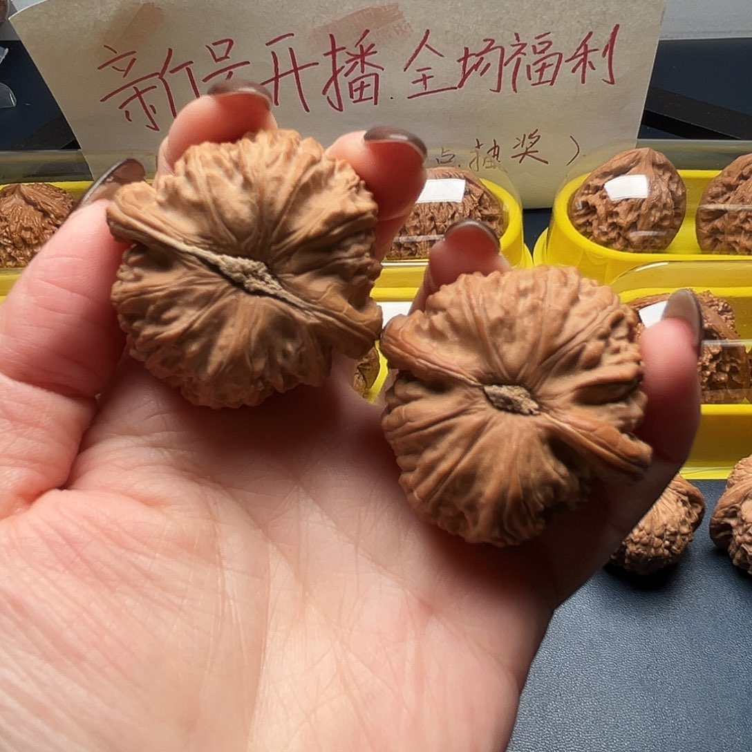 核桃42尺寸白狮子
