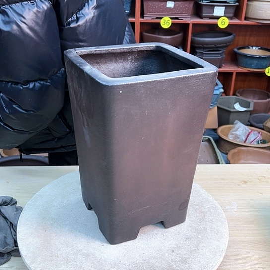 红陶用****6紫砂花盆里放的