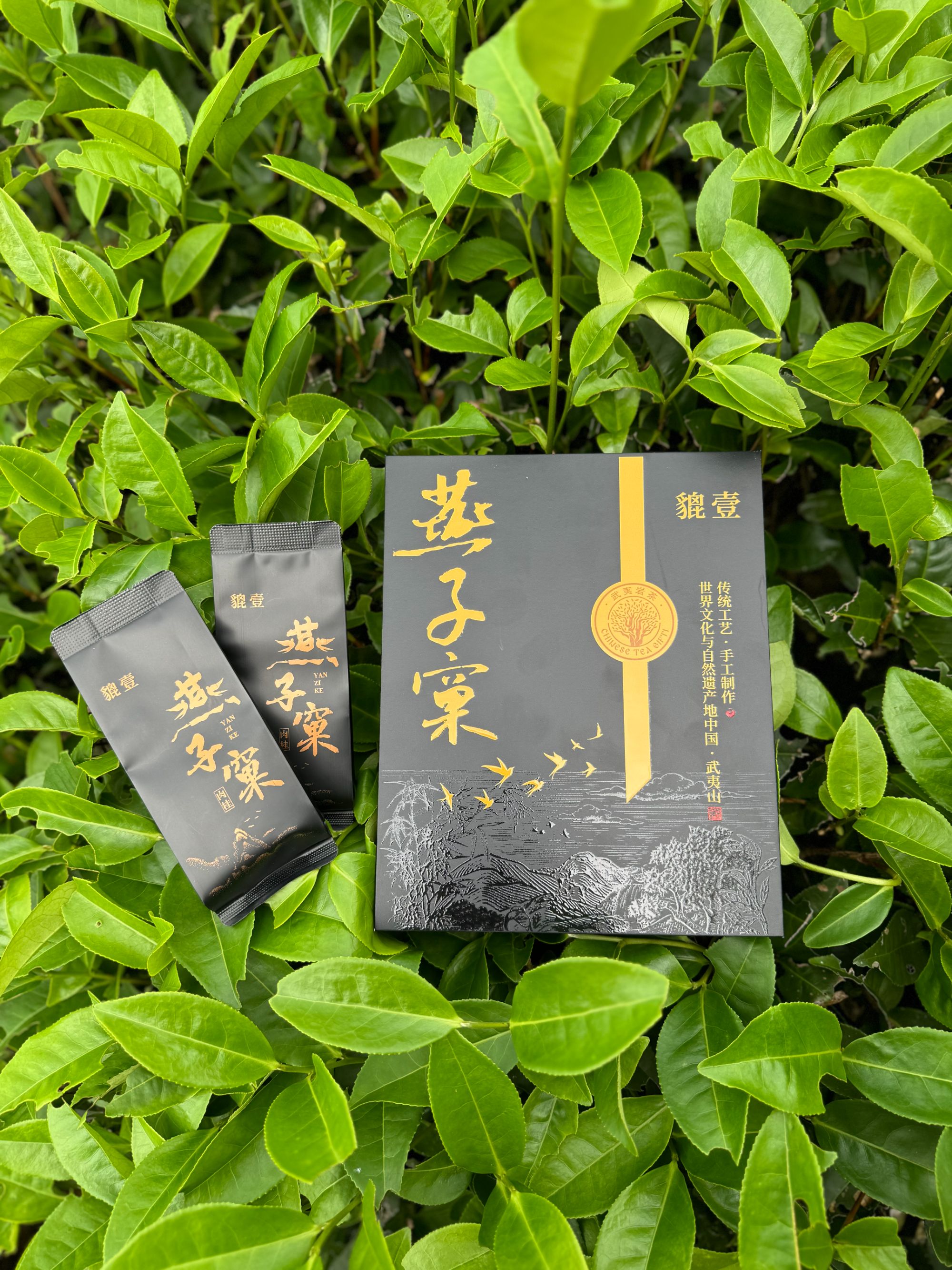 燕子窠肉桂，桂皮香，花香