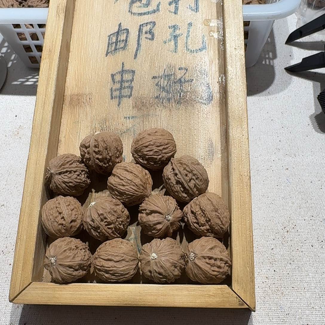 核桃手串/手链35号边21肚21高22