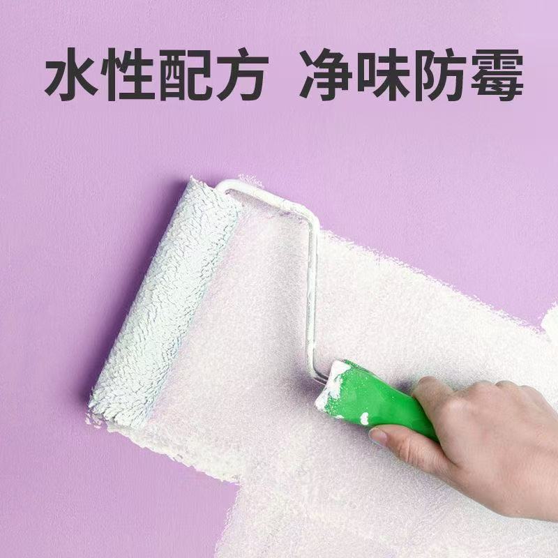 【改价】室内水泥墙面漆毛坯房墙涂料新专用自刷乳胶漆