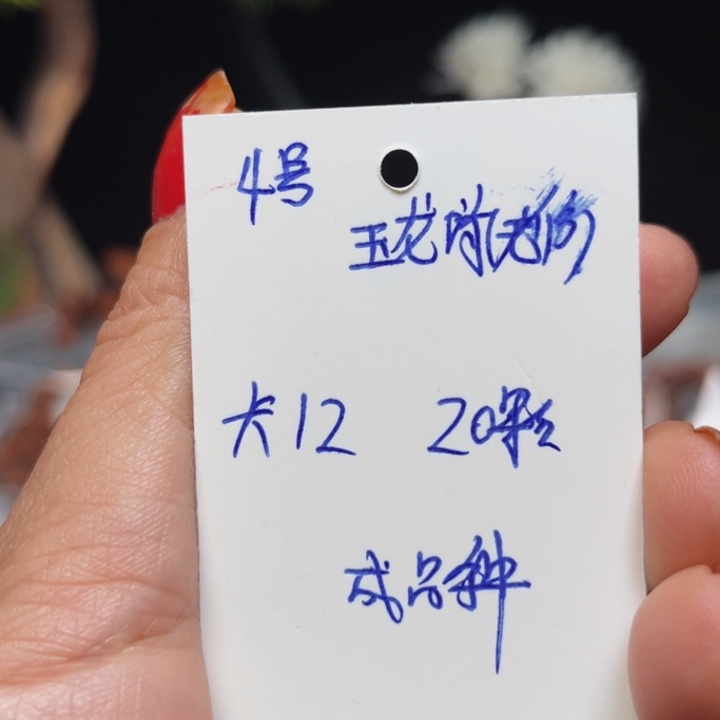 桃核吊坠玉龙脊桃核