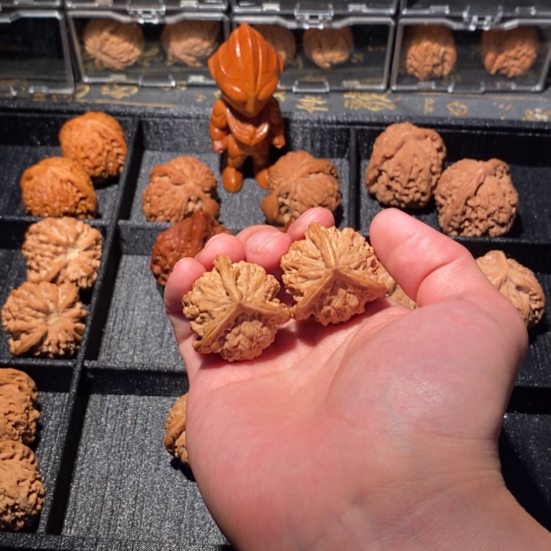 一***妄大叶紫檀（黑酸枝木类）