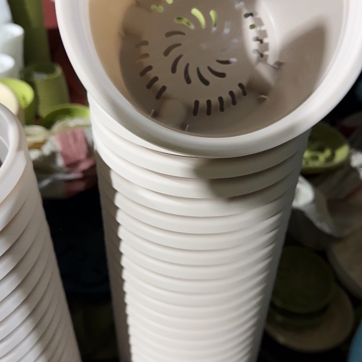 四季2号灰白无托10个